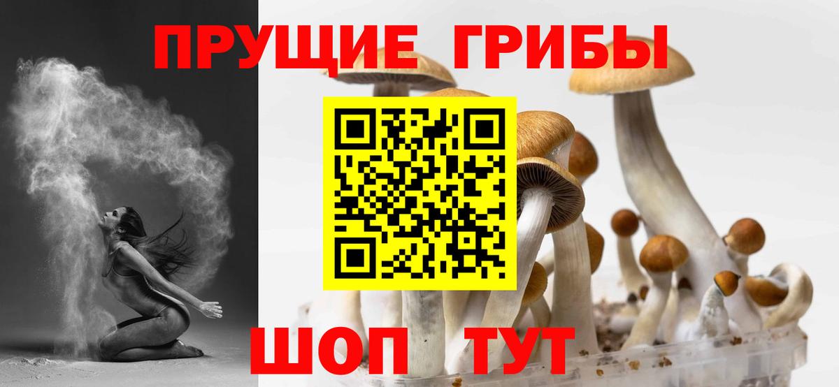 Псилоцибиновые грибы мицелий Назрань